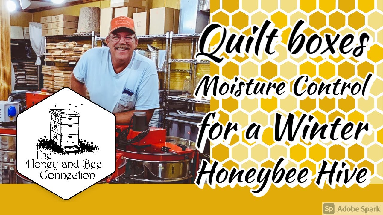 Beekeepers Guide 2 Quilt Boxes - Moisture Control 4 Winter Honeybee Hives|The Honey & Bee Connection