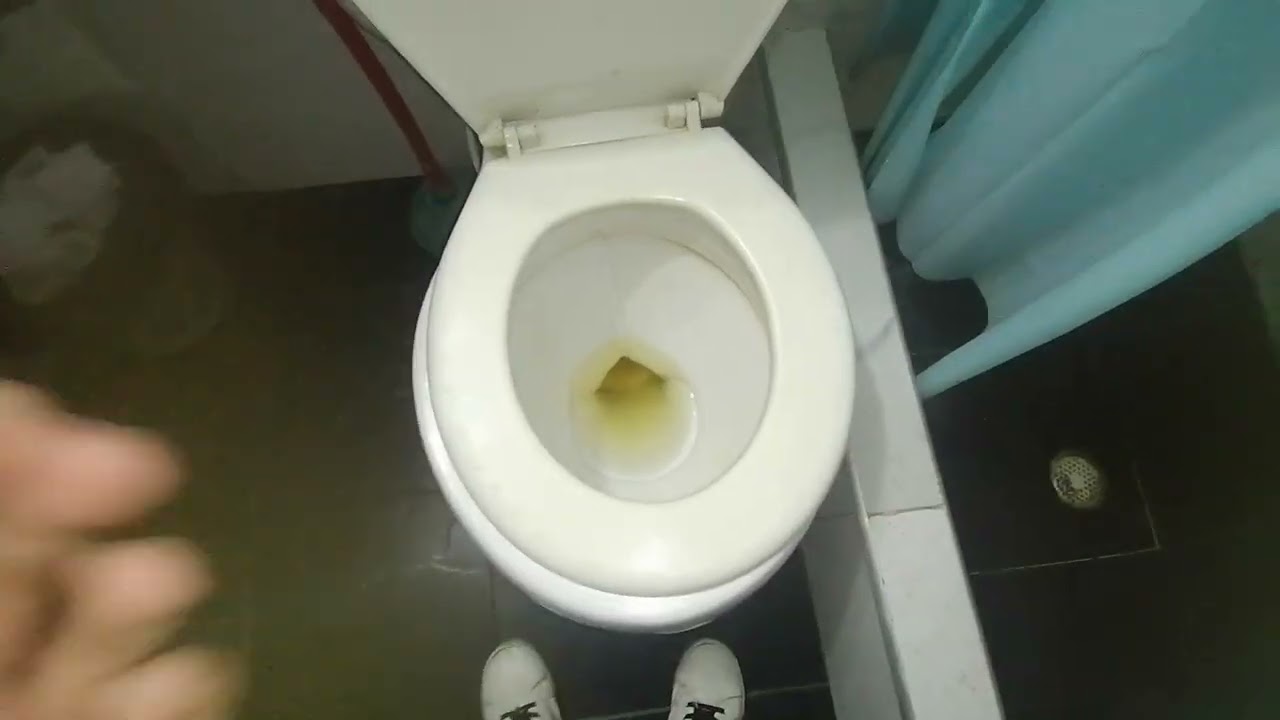 Edesa compeon toilet