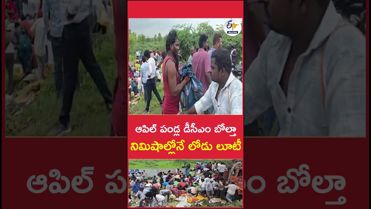 ఆపిల్&zwnj; పండ్ల డీసీఎం బోల్తా   నిమిషాల్లోనే లోడు లూటీ