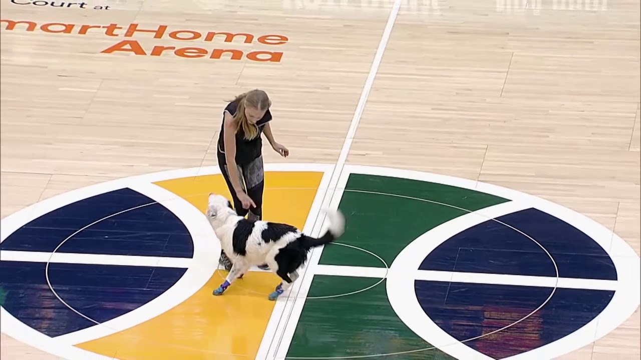 Utah Jazz Halftime Show!