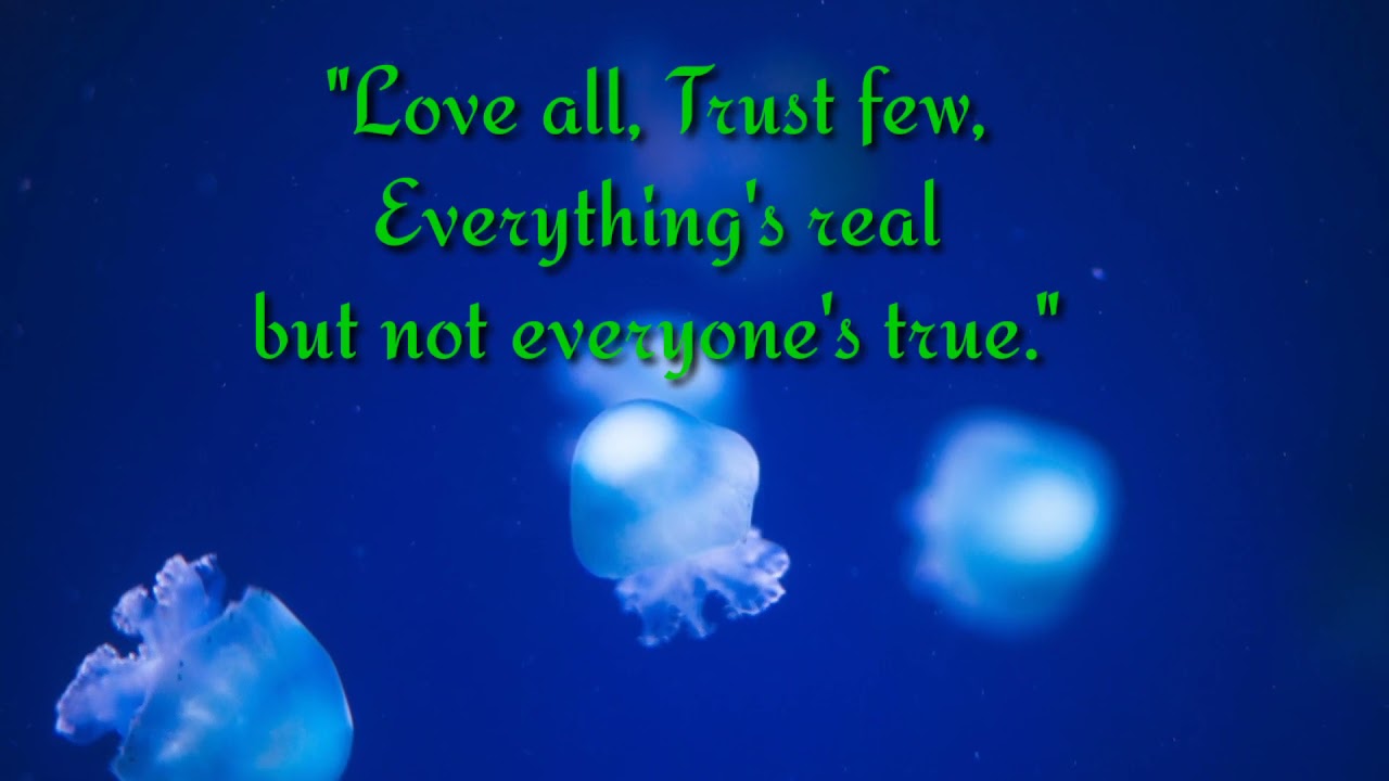 True Quotes about Life | Quotes | life Quotes