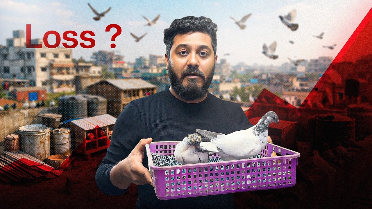 ২০২৫ সালে আমাদের খামারে লাভ হলো নাকি লস হলো ? 😀/😭