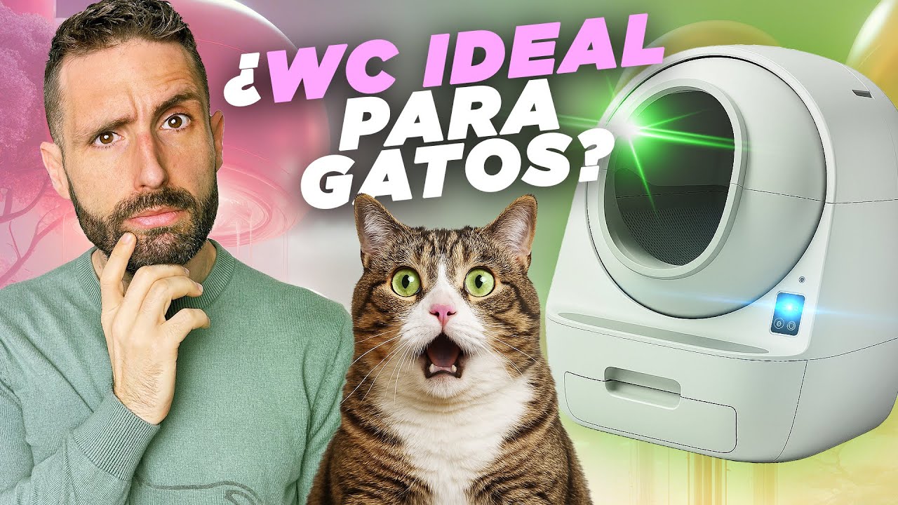 TODOS los tipos de ARENEROS para GATOS 🐱🚽 ¿Cuál es EL MEJOR?
