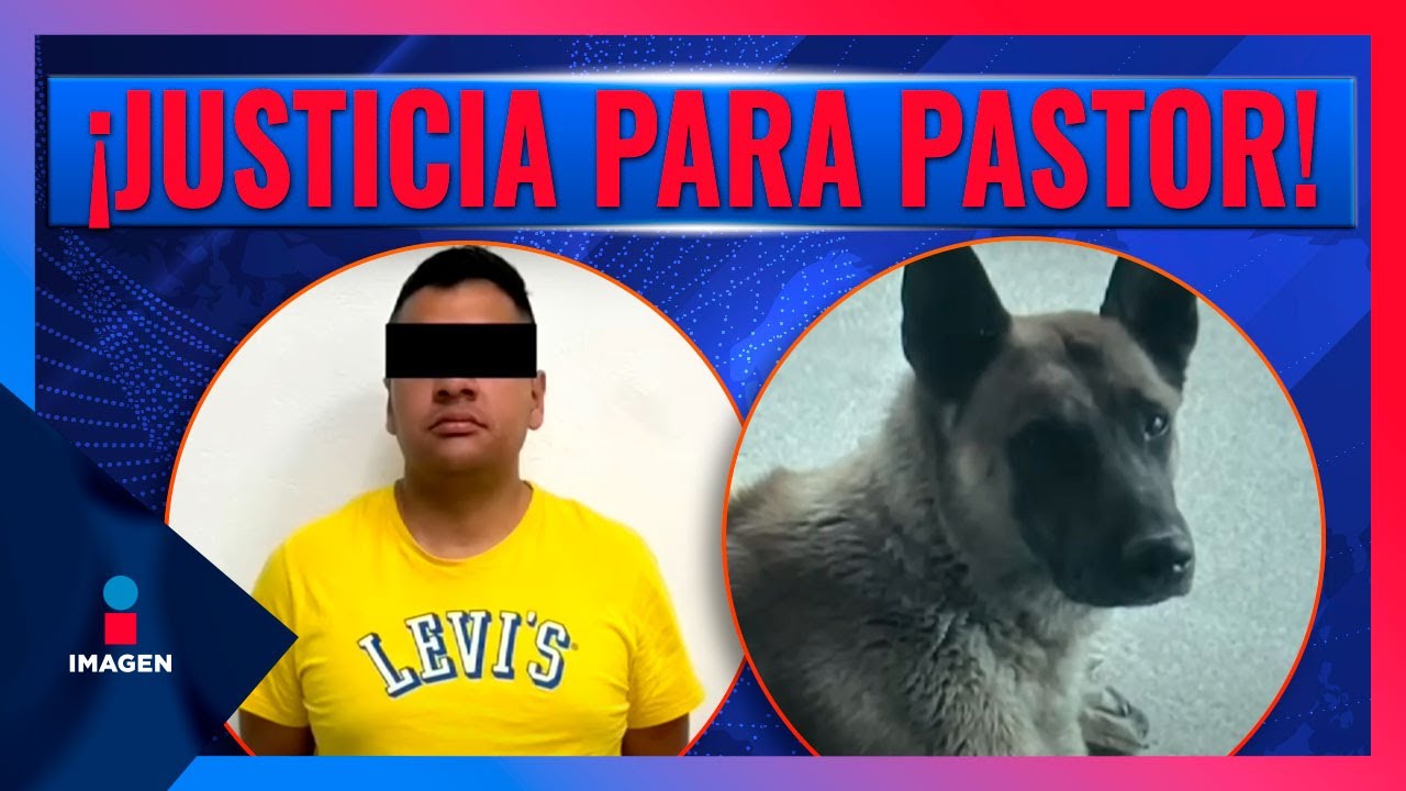 Agente de la Fiscalía del Edoméx mata a perro en calles de Ecatepec | Noticias con Francisco Zea