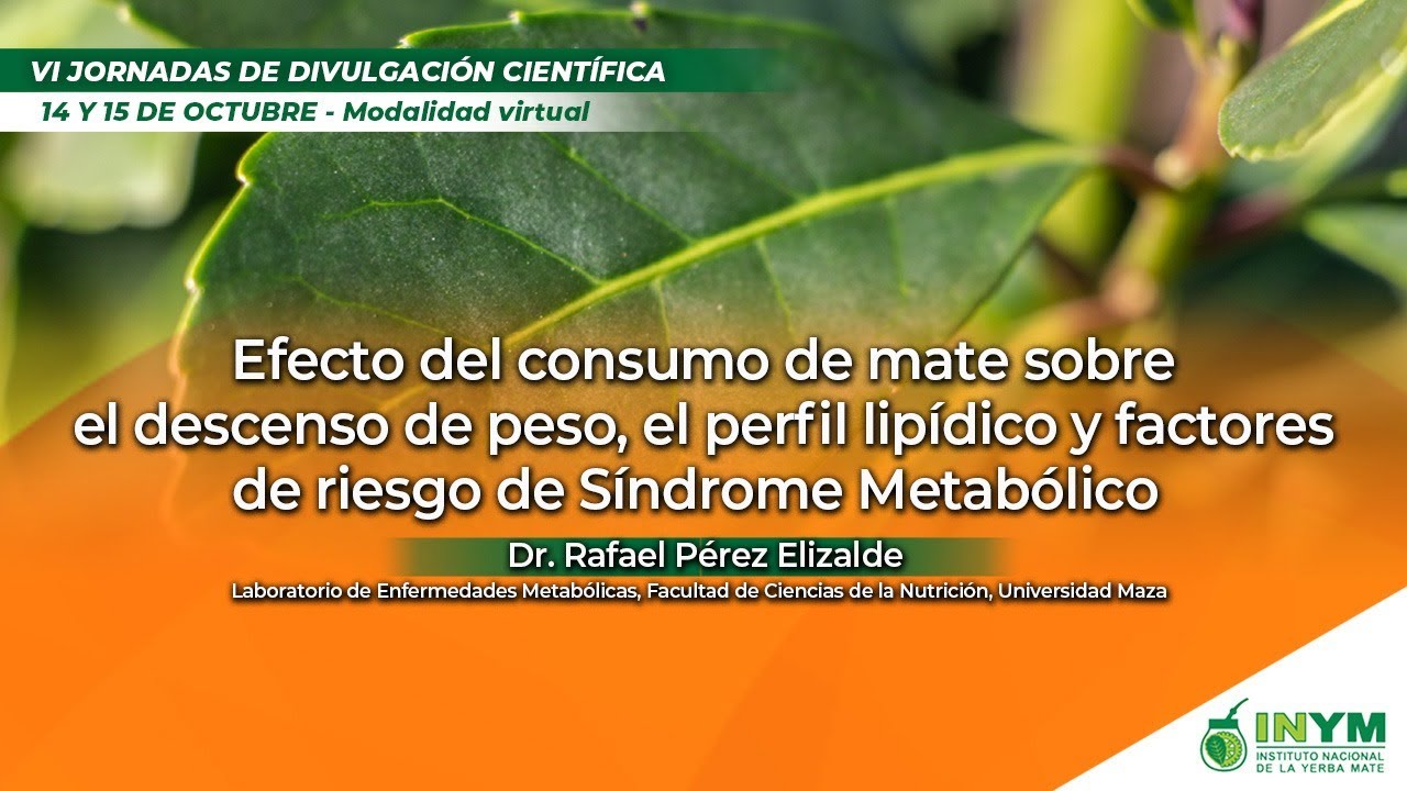 Yerba mate, colesterol y descenso de peso