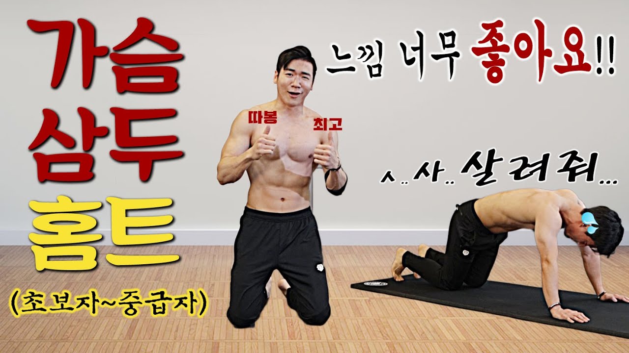 집에서 따라하는 가슴&팔 근육 동시에 잡는 홈트레이닝 (초보자&중급자까지 모두 가능!)