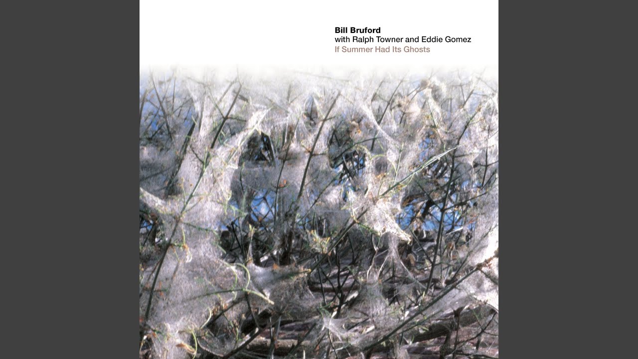 Splendour Among Shadows