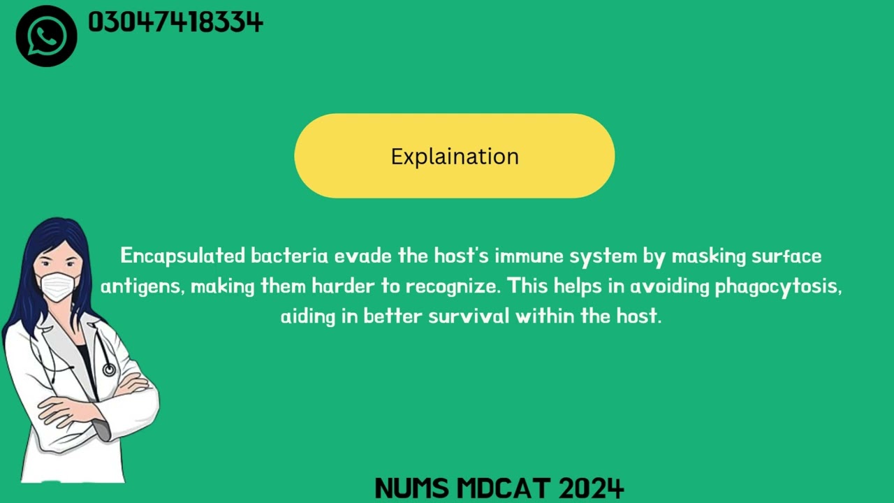 Nums Past Paper 2024 Question 16
