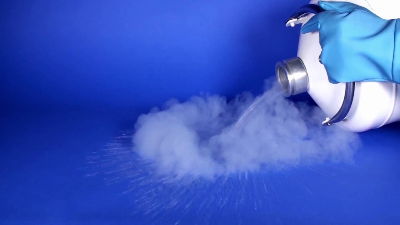 -195,79°C : introduction à l'azote liquide