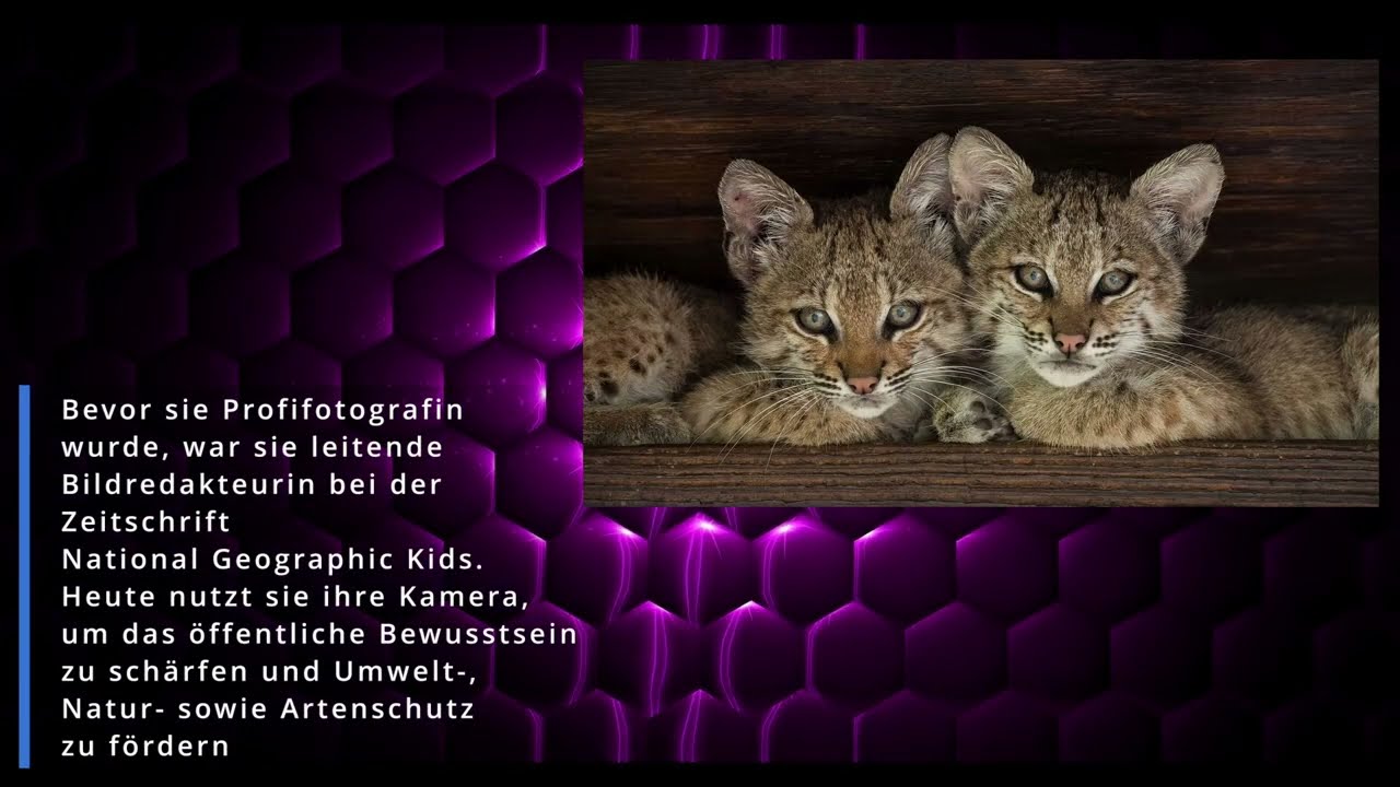 Den richtigen Fotografen folgen  - Karine Aigner