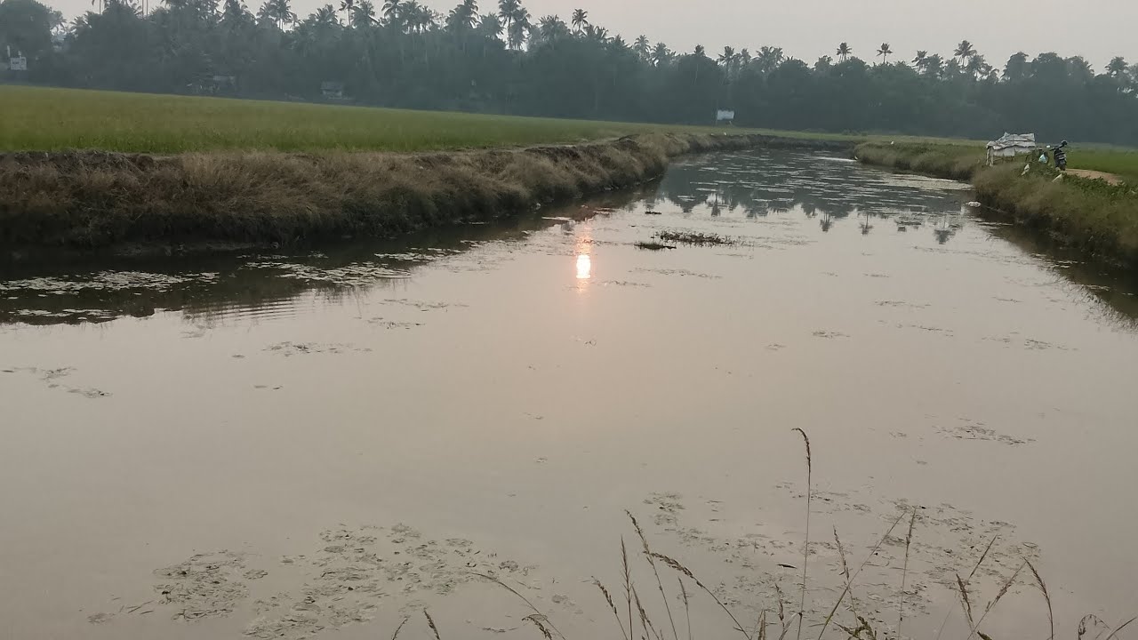 ##ഒരു ചെറിയ ഔട്ടിങ് @പാടം ##oru cheriya outing 😍😍😍