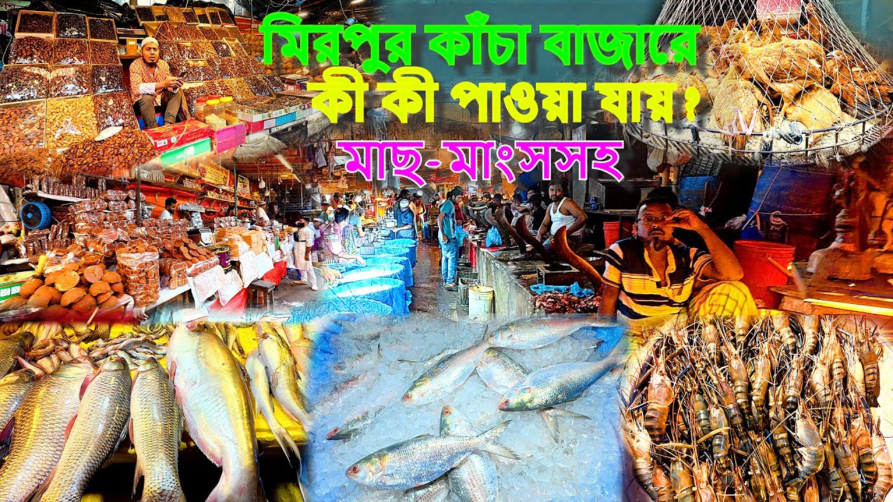 মিরপুর কাঁচা বাজারে কী কী পাওয়া যায় | মাছ-মাংসসহ | Available at Mirpur Raw Market | fish and meat