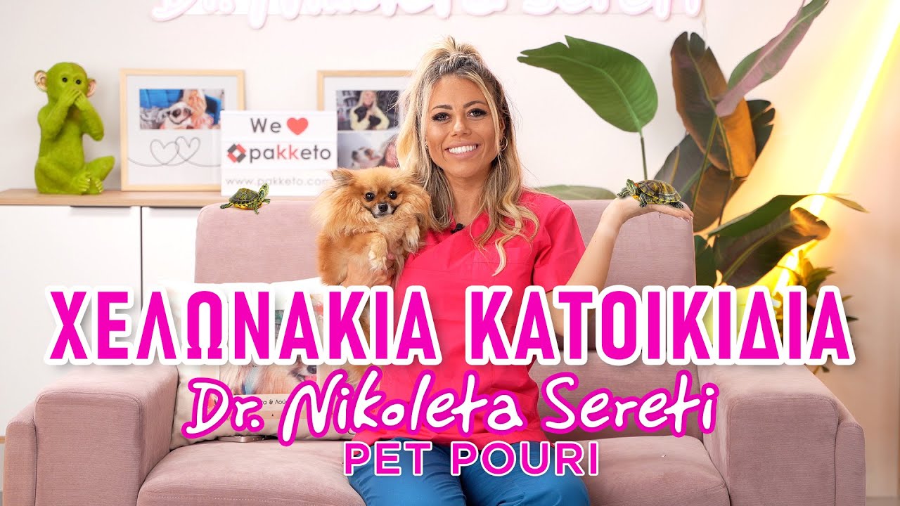 Dr. Nikoleta Sereti - Γνωρίστε τα κατοικίδια χελωνάκια!