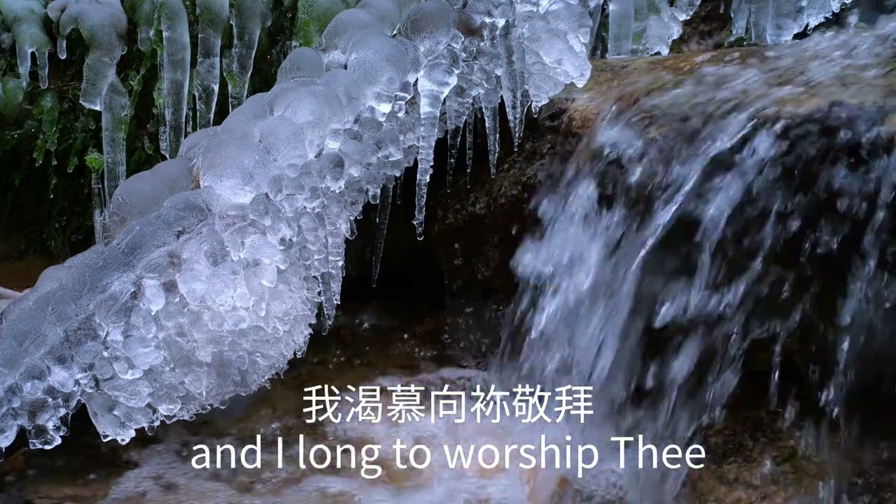 如鹿切慕溪水 As The Deer