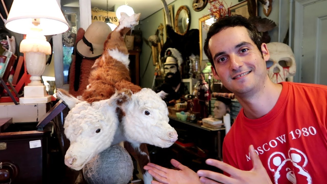 NYC's WEIRDEST Store ! 😱 (Obscura Antiques & Oddities)