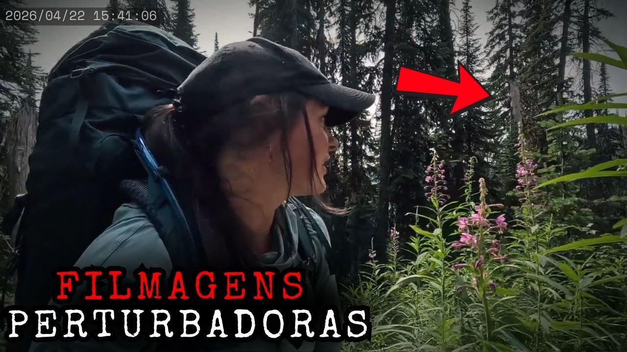 6 Encontros em Acampamentos Perturbadores na Floresta Capturados por Câmera