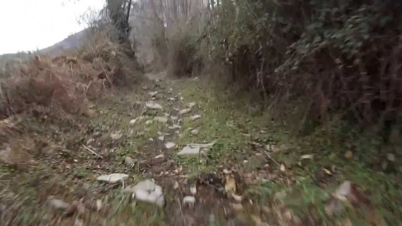 Vtt / Descente - Scupiccia / Prunete