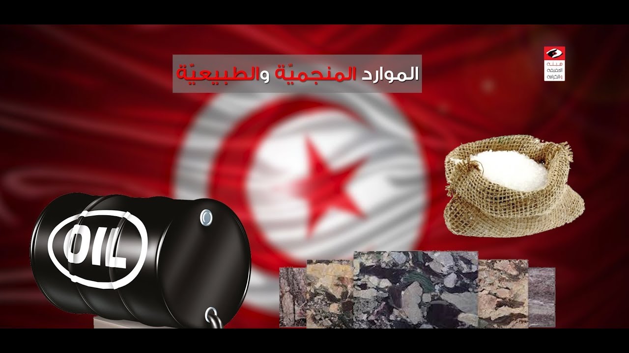 وثائقي هيئة الحقيقة والكرامة حول ملفّ الفساد في تونس
