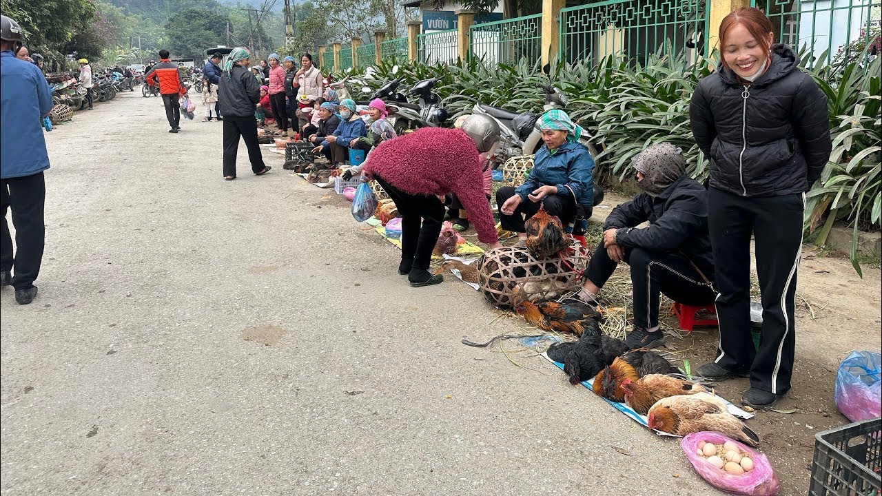 Chợ Phi&ecirc;n V&ugrave;ng Cao Nguy&ecirc;n Sơ Mộc Mạc - B&aacute;n Rất Nhiều Đồ Rừng & Dược Liệu - G&agrave; - Vịt Bản To&agrave;n Đồ Sạch