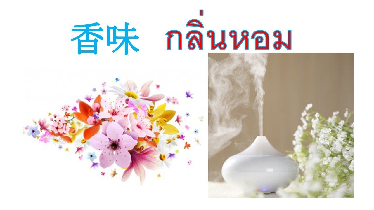 BBR88 #泰語很好學 -香味、溫暖的香味、聞花、靈犬、渴望讀香味、香水 น้ำหอม กลิ่นหอม หอมละมุ่น หอมรัญจวน สุนัข