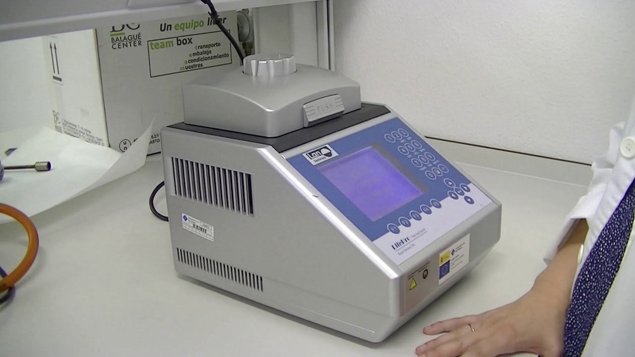 Extracción de ARN, retrotranscripción (ADN copia) y PCR a tiempo real