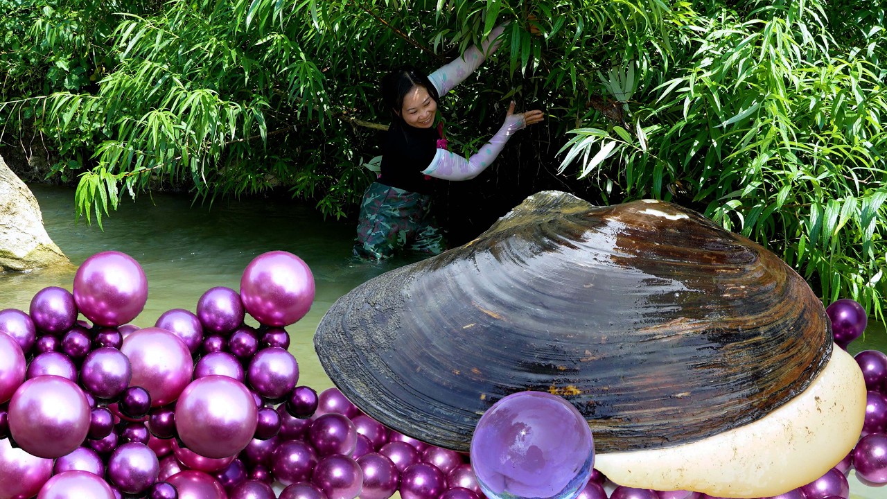 🎁Discovered giant clams in the wilderness, nurturing high-quality purple pearls that are so charming