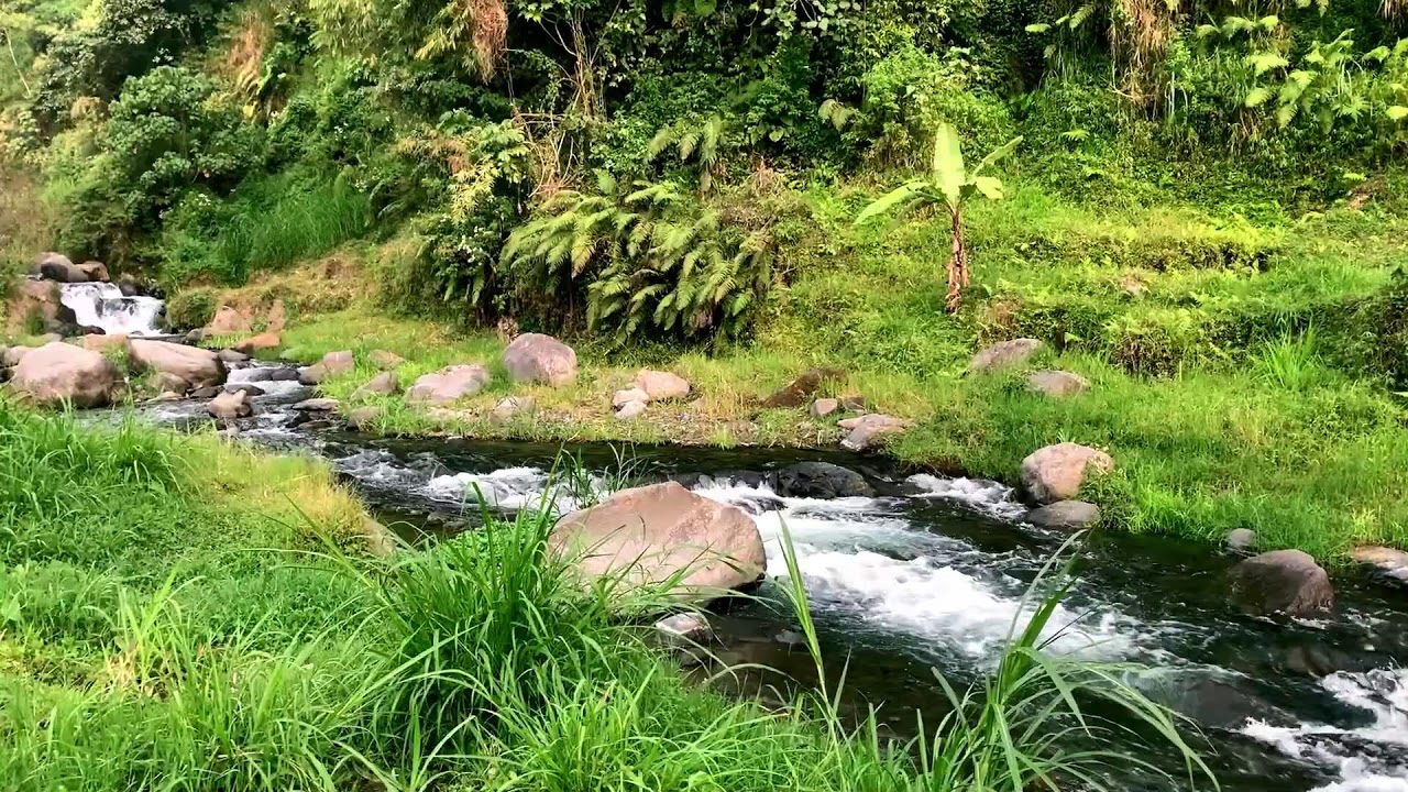 Jungle River Flow for Productivity, Tension Release