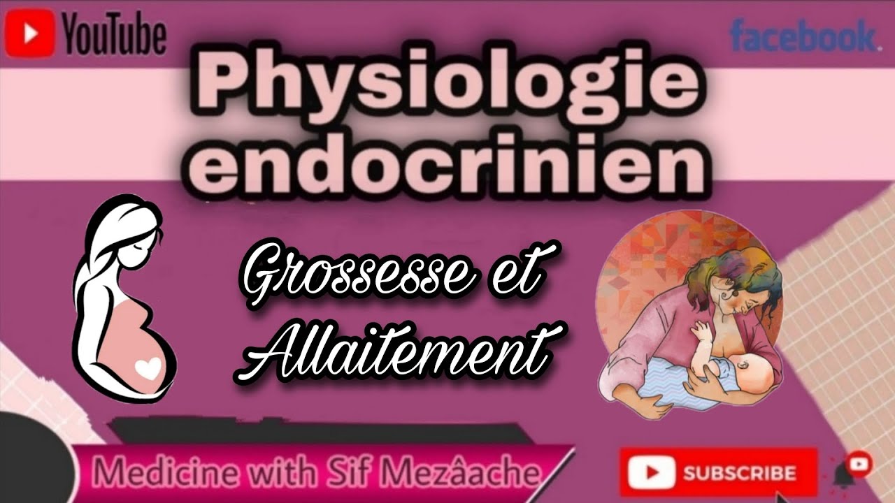 8/ Grossesse et Lactation | Physiologie 2ème MED