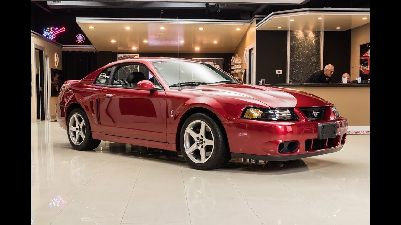 2003 Ford Mustang SVT For Sale