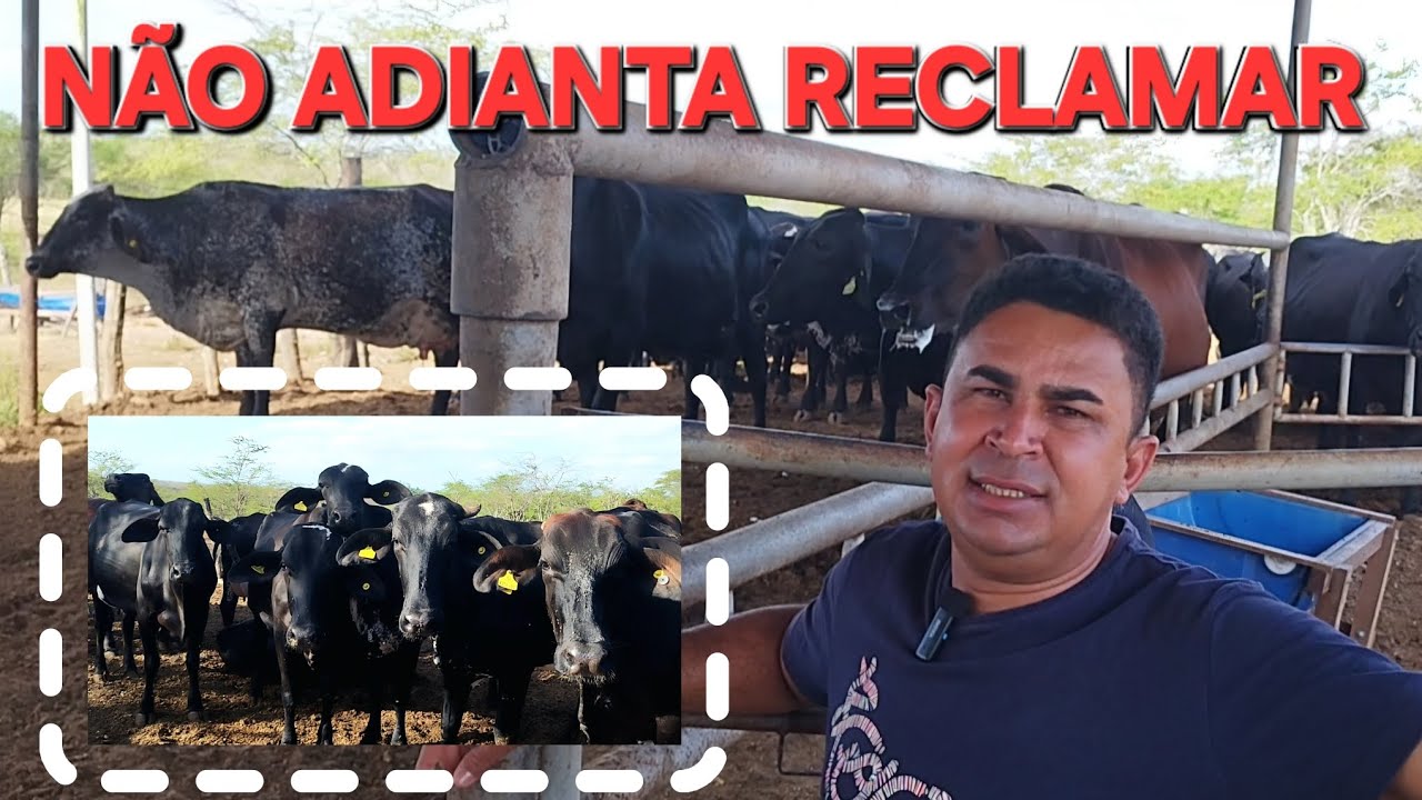BRUNO DA FAZENDA LAGOA NOVA FALA SOBRE A BAIXA NOS PRE&Ccedil;OS DO LEITE