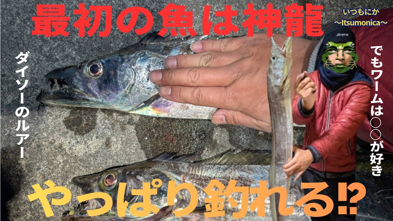 【静岡県タチウオ釣り】100均ジグヘッドで神龍が釣れた！