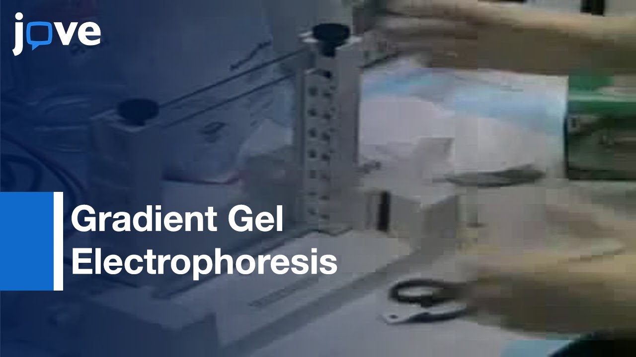 Denaturing Gradient Gel Electrophoresis (DGGE) l Protocol Preview