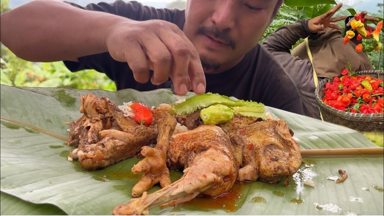 King chilly harvesting || eating tender chicken || harvesting organic vegetables.