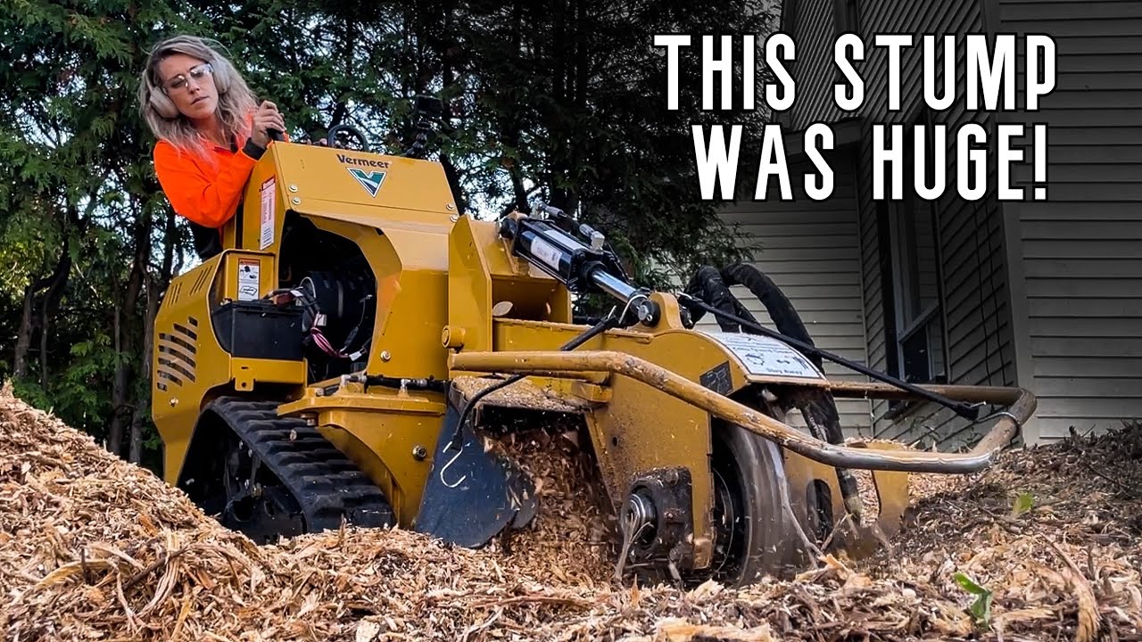 Come STUMP GRINDING with Me! | A Day in the Life of Running a Tree Business