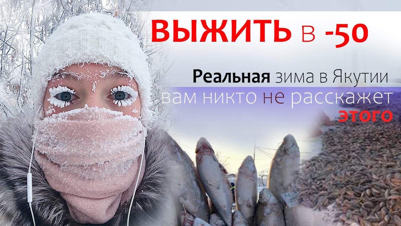 Выжить в минус 50 // Жизнь Глазами Якутян: реальные факты
