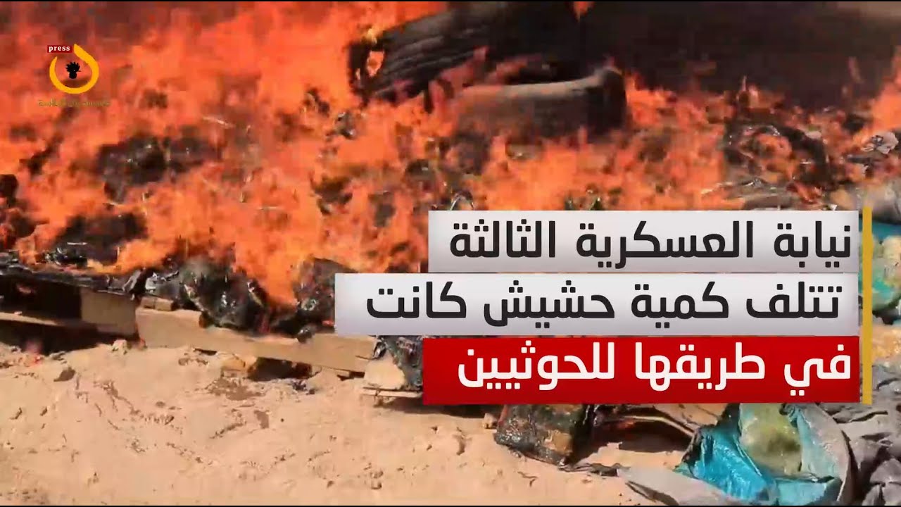 شاهد | إتلاف كميات ضخمة من الحشيش كانت في طريقها للحوثيين بمأرب