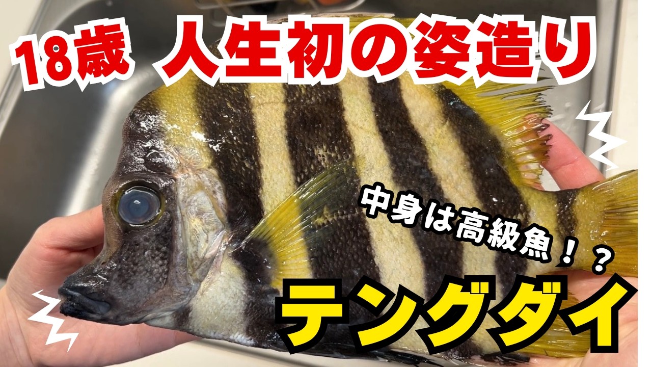 【衝撃】18歳、人生初の姿造り。見た目が「天狗」すぎる珍魚をさばいたら、中身はとんでもない高級魚だった。