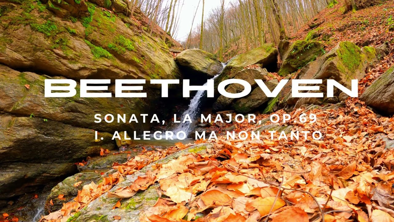 Beethoven   Sonata, La major, Op 69   I  Allegro ma non tanto
