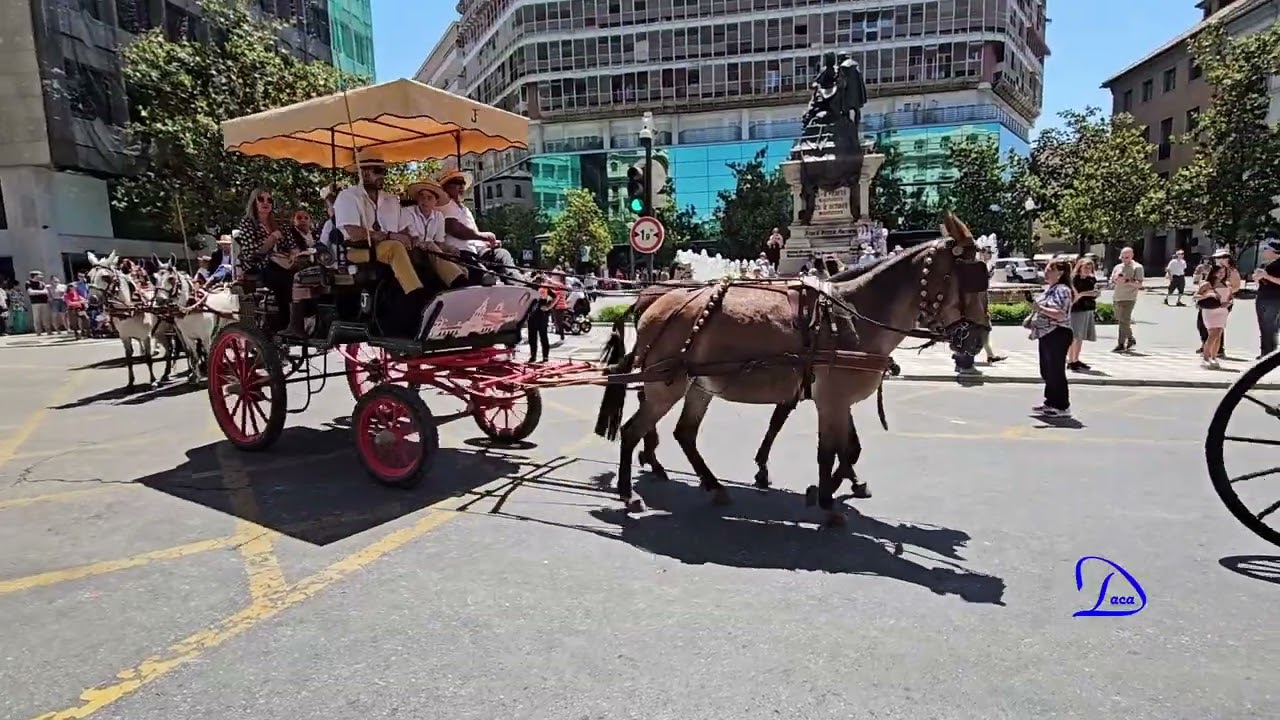 2024  ROCIO Daca 720
