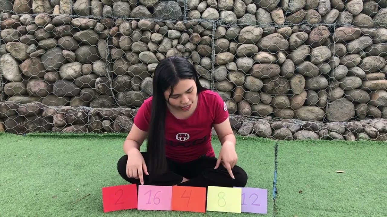 Group 2 - Insertion Sort Tutorial