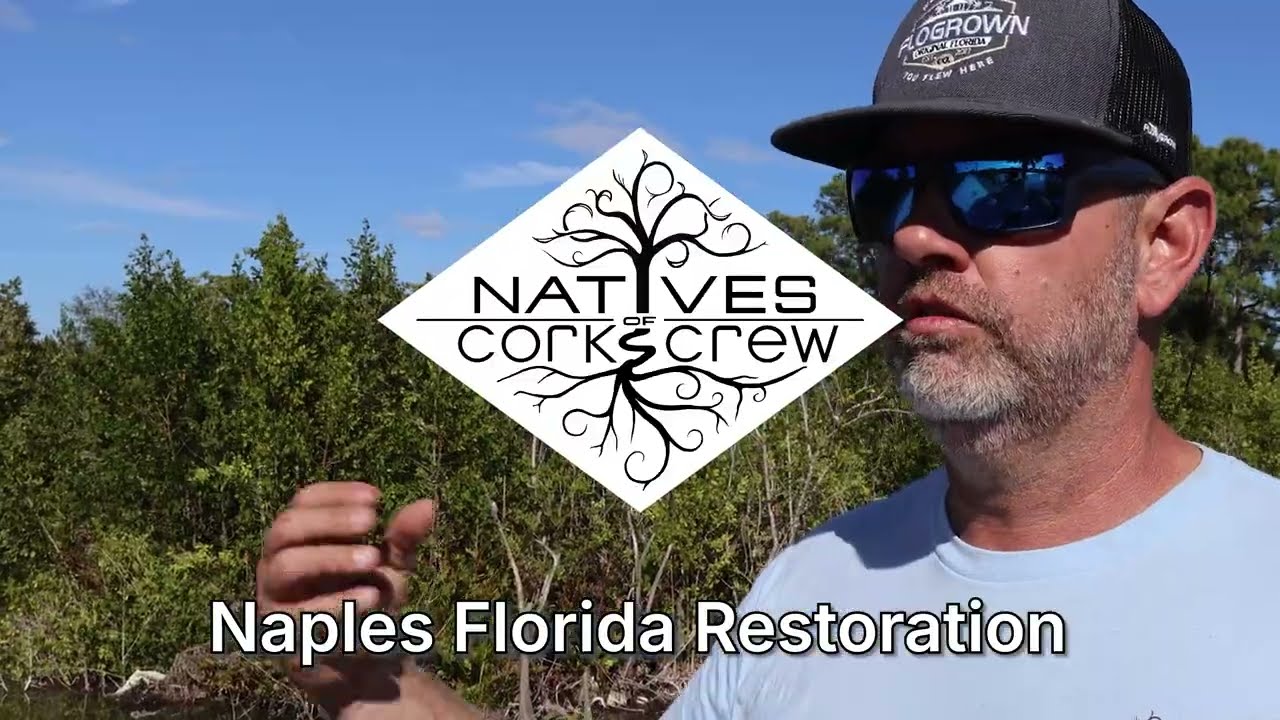 How Removing Invasive Plants Transformed Sugden Park | Naples Florida Restoration