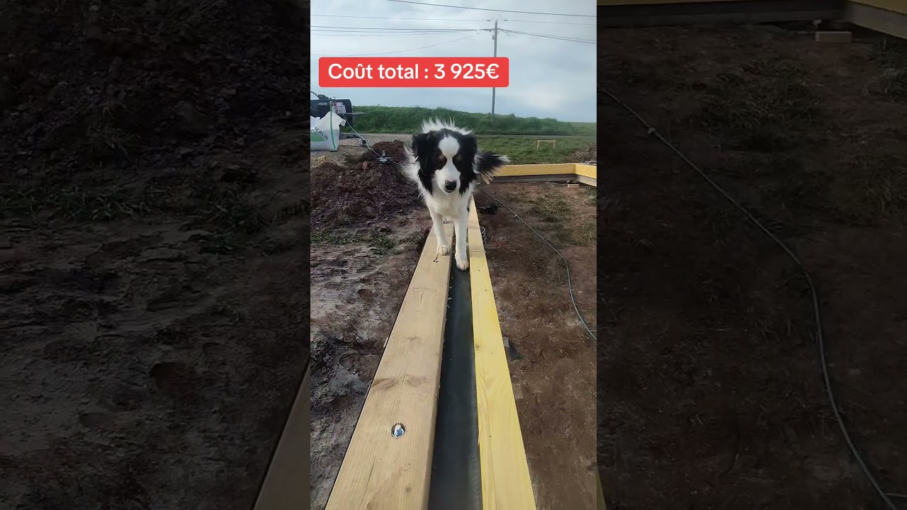 Ossature de la dalle bois #autoconstruction #lartisanmaison #chantier #travaux