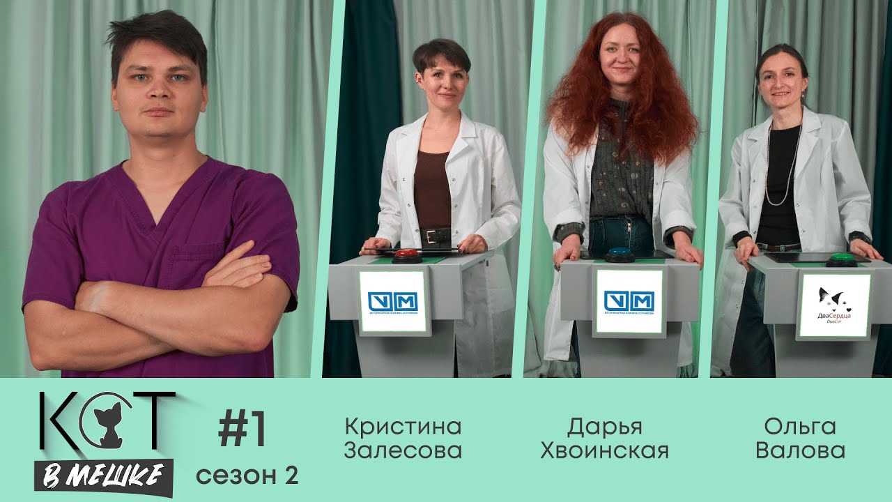 Кот в мешке #1 Сезон 2. Залесова, Хвоинская, Валова