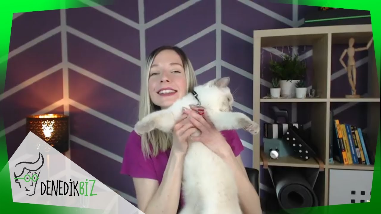 Mevsimsel Tüy Dökülme Sorunsalı - Kedi Köpek Tüy Toplama Eldiveni | Burçin & Odin