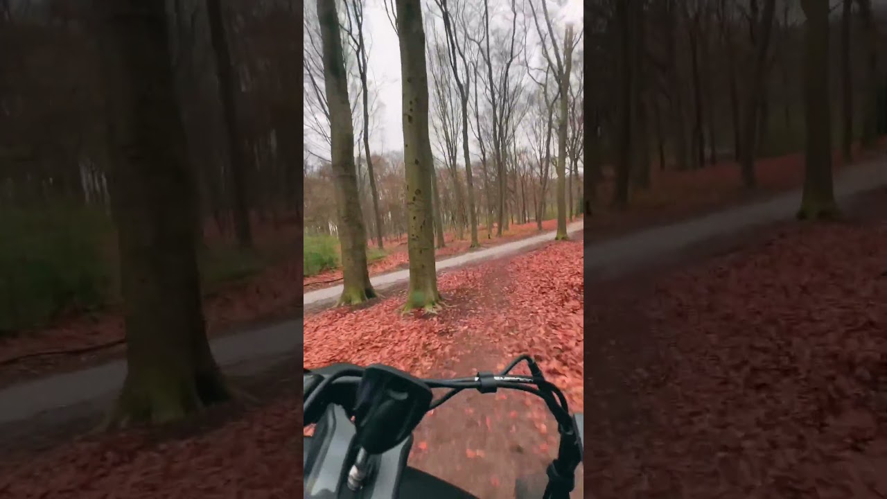 HiMiway Cruiser: Breathtaking High-Speed E-Bike Hill Ride! 🚴&zwj;♂️💨⛰️