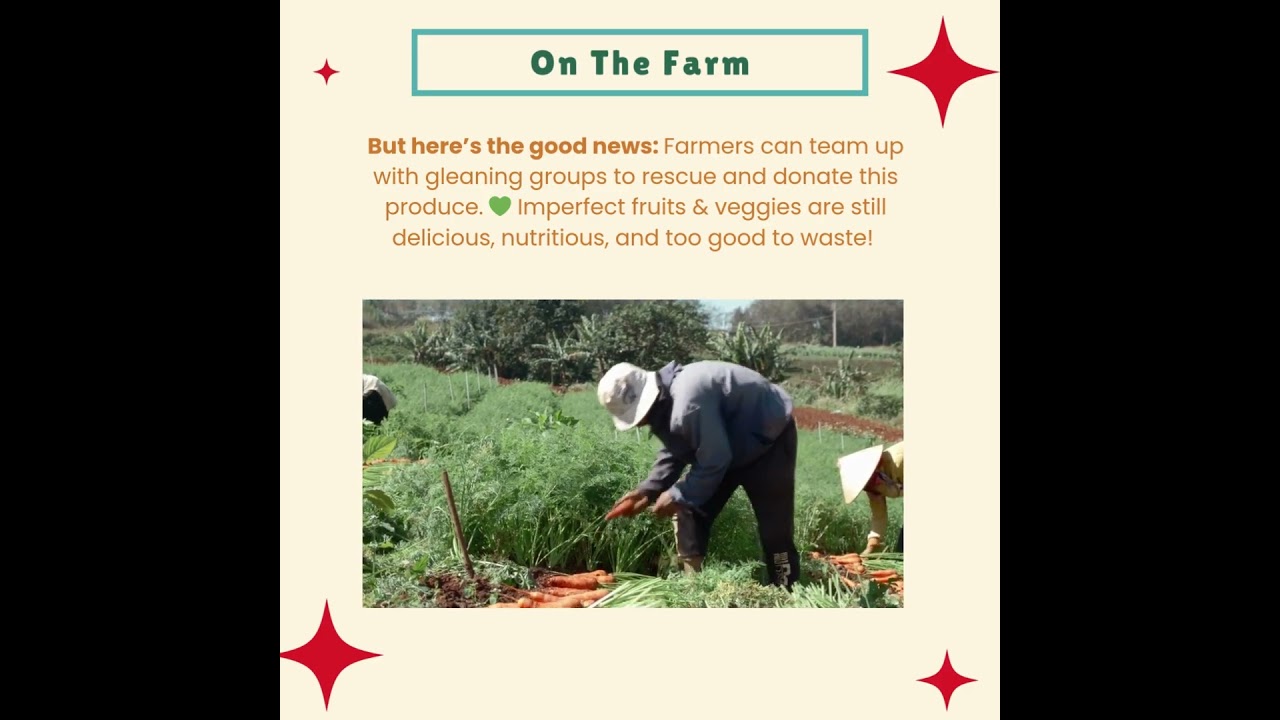 FAQ Friday - International Day of Awareness of Food Loss and Waste