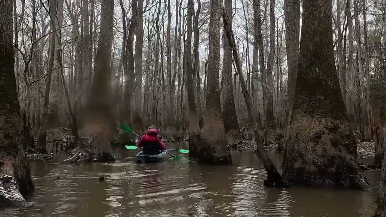 Congaree National Park 1.31.26 with Carolina Outdoor Adventures 