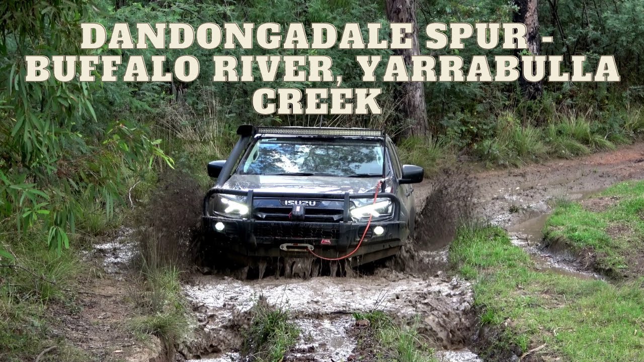Dandongadale Spur,  Mt Buggery & Yarrabulla Creek Track