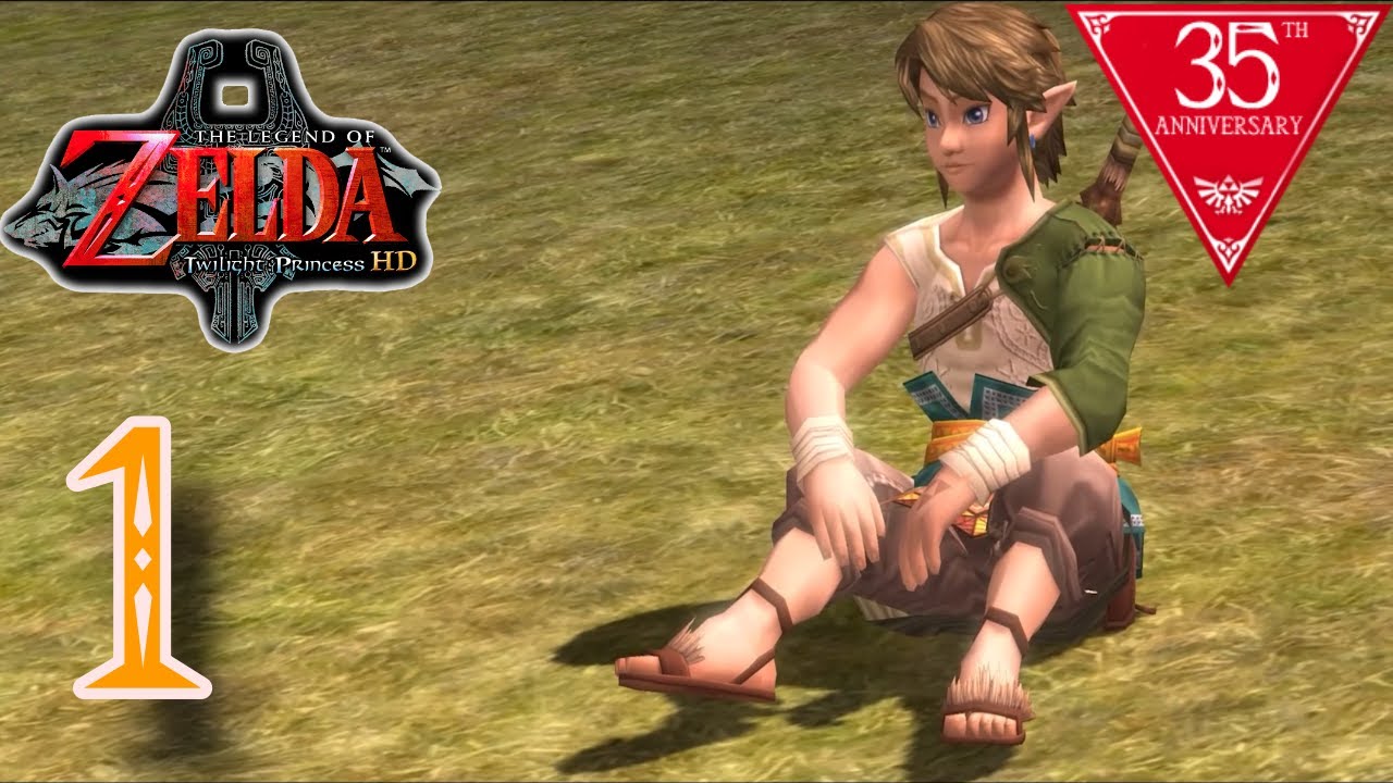 Ordon Village Twilight Princess HD
