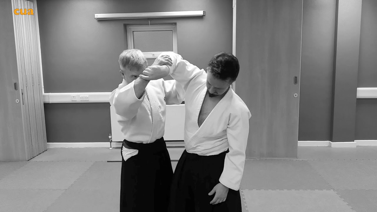 How to do Aikido
